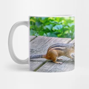 chipmunk looks in a mirror at a handsome rodent Mug